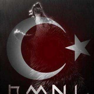 GELİŞİM ARVİŞ🔱