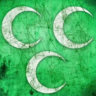 MİLLİ ALPEREN PARTİSİ